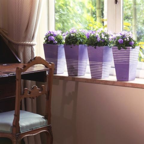 Bild "otto-blumen-geschenkideen_01.jpg"