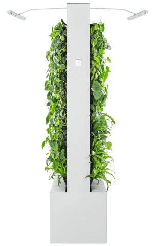 Bild "2_naava-duo-white-seite.png"