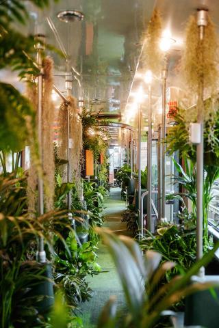 Bild "stadtbahn_1.jpg"