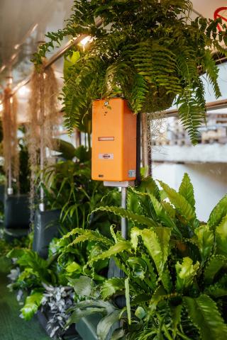 Bild "stadtbahn_2.jpg"