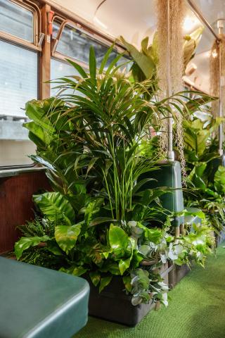 Bild "stadtbahn_3.jpg"