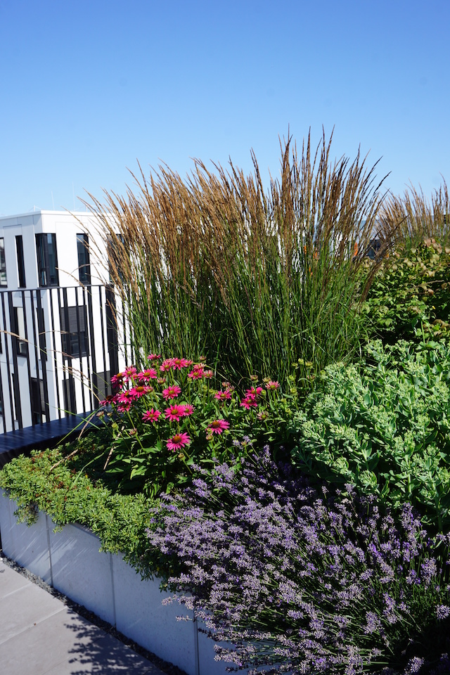 Bild "aussenbegruenung_2.jpg"