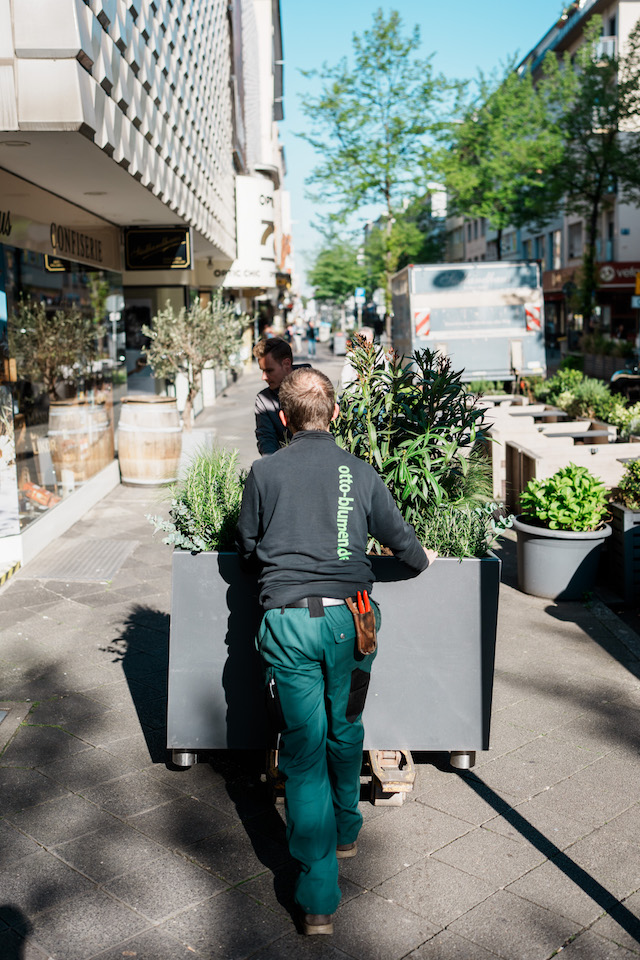 Bild "aussenbegruenung_3.jpg"