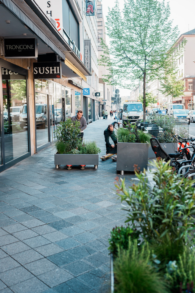 Bild "aussenbegruenung_4.jpg"