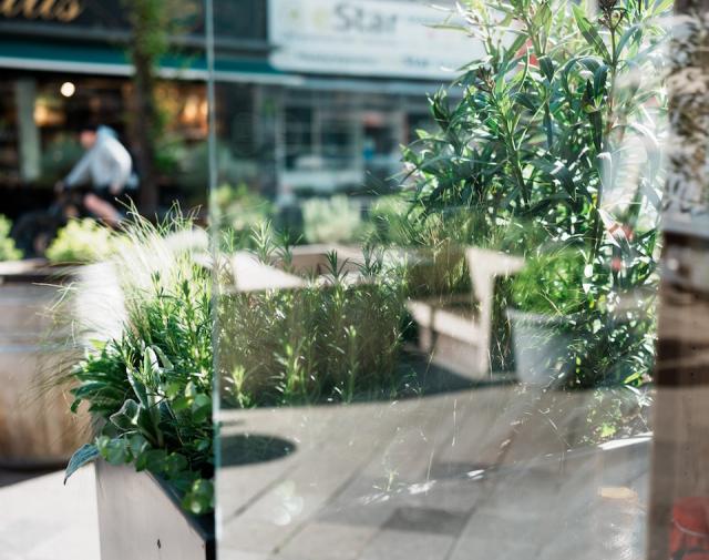 Bild "aussenbegruenung_5.jpg"