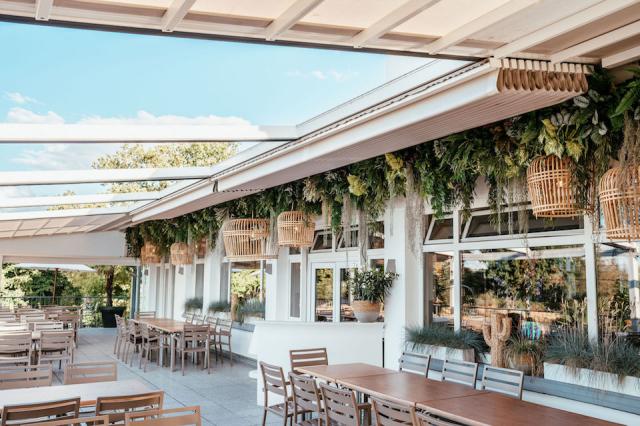 Bild "aussenbegruenung_7.jpg"