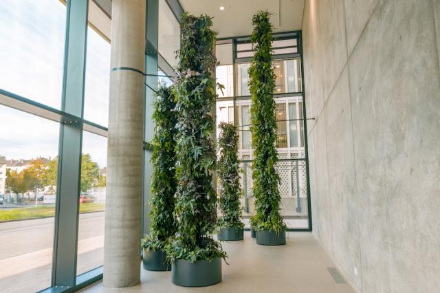 Bild "guenloesungen-3.jpg"