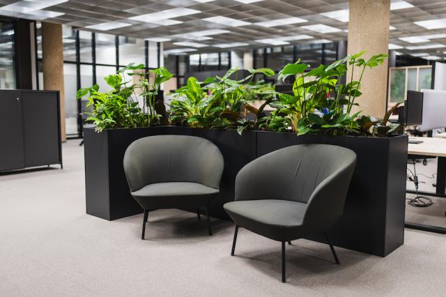 Bild "guenloesungen-4.jpg"