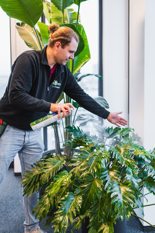 Bild "dienstleistungen_2.jpg"