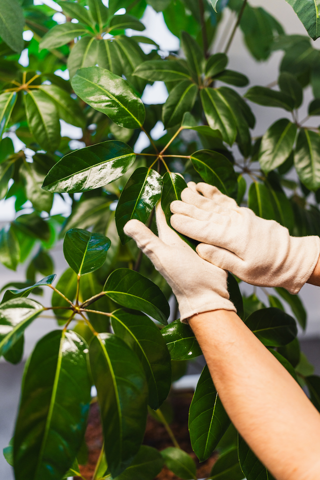 Bild "dienstleistungen_4.jpg"