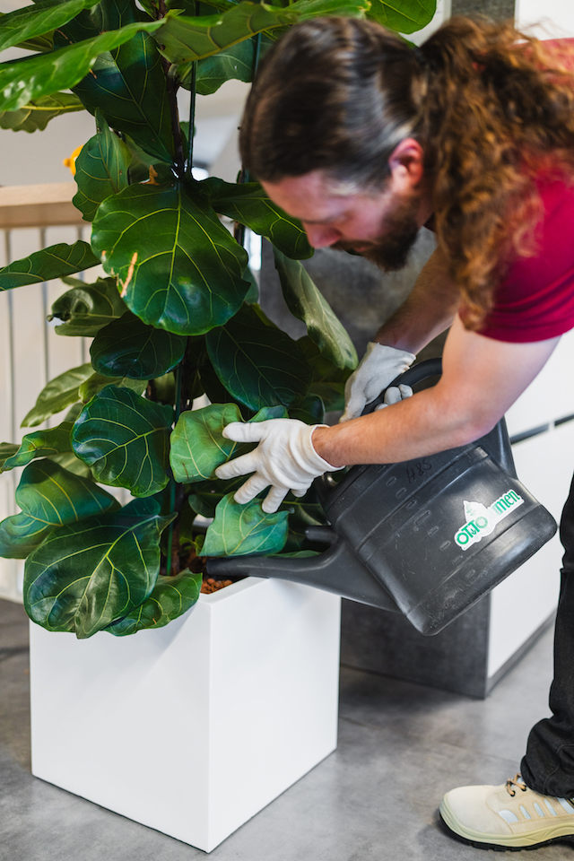 Bild "dienstleistungen_6.jpg"