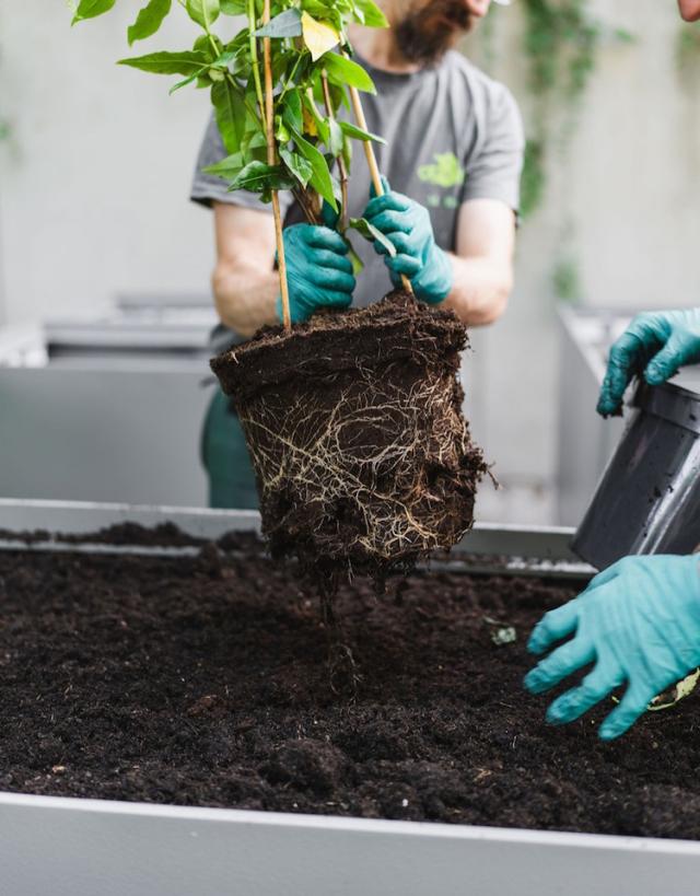 Bild "dienstleistungen_7.jpg"