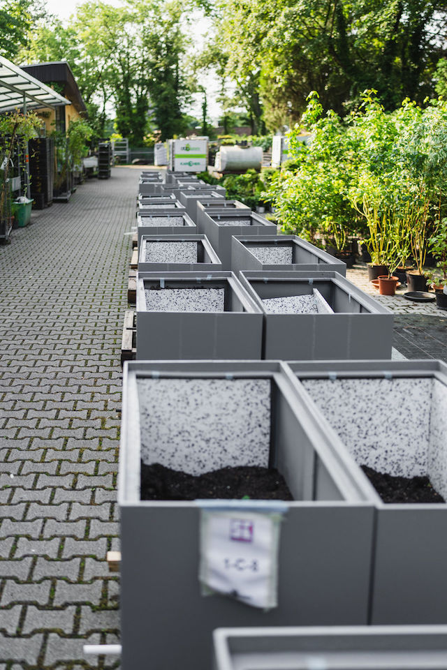 Bild "fassadenbegruenung_04.jpg"