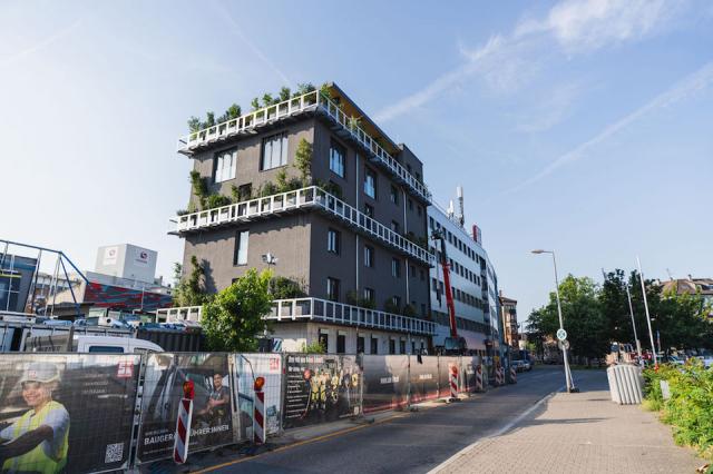 Bild "fassadenbegruenung_09.jpg"