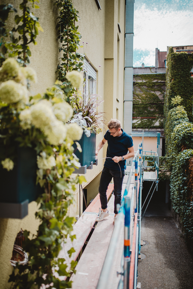 Bild "fassadenbegruenung_1.jpg"