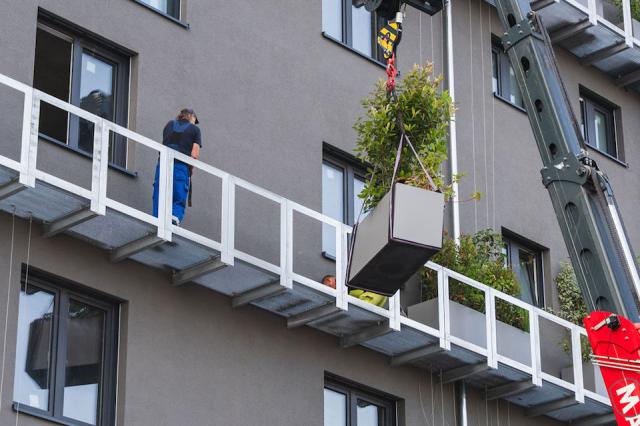 Bild "fassadenbegruenung_11.jpg"