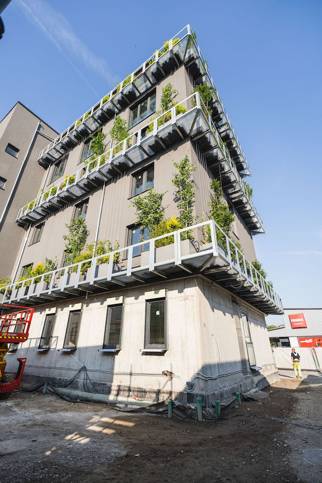 Bild "fassadenbegruenung_14.jpg"