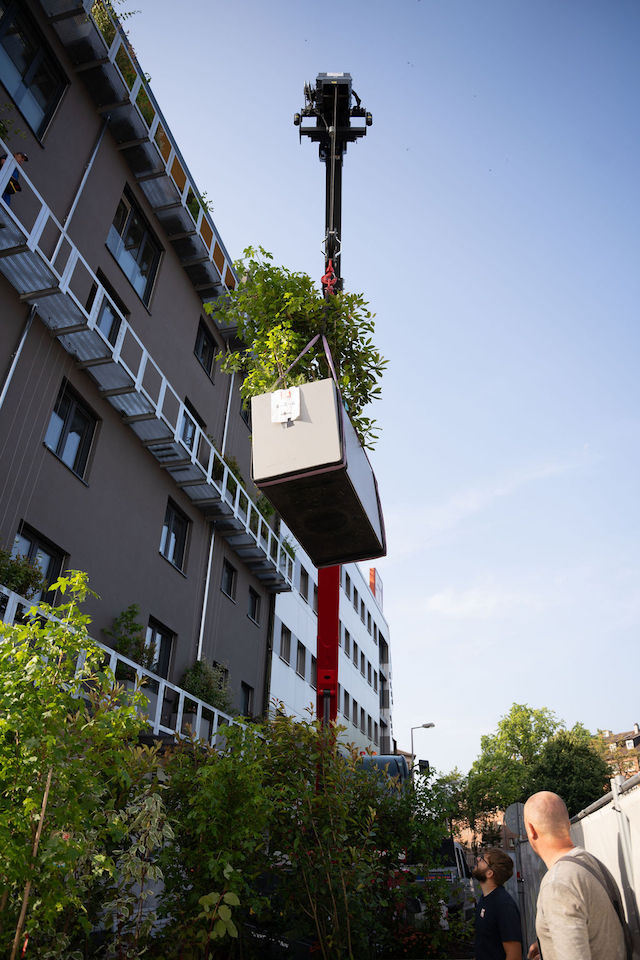 Bild "fassadenbegruenung_8.jpg"