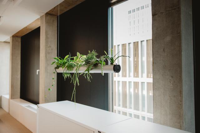 Bild "innenbegruenung_1.jpg"