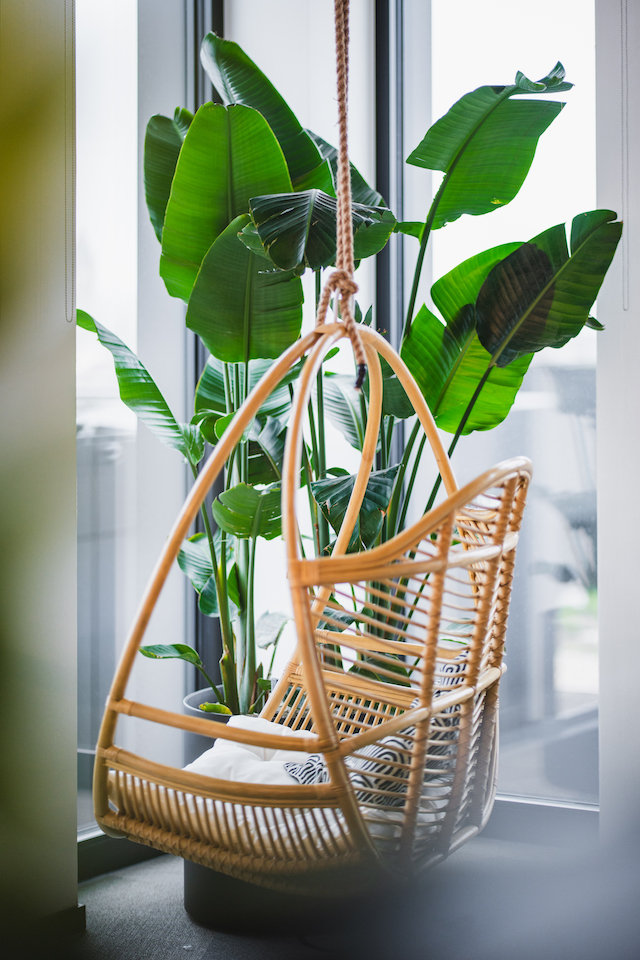 Bild "innenbegruenung_10.jpg"