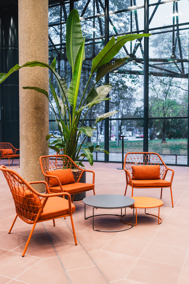 Bild "innenbegruenung_11.jpg"