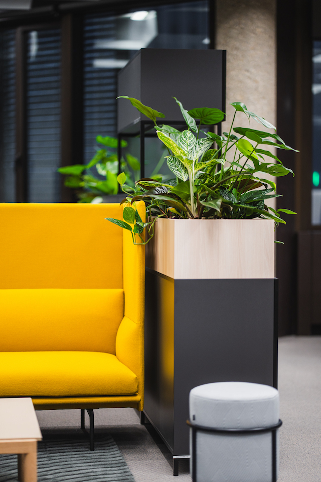 Bild "innenbegruenung_12.jpg"