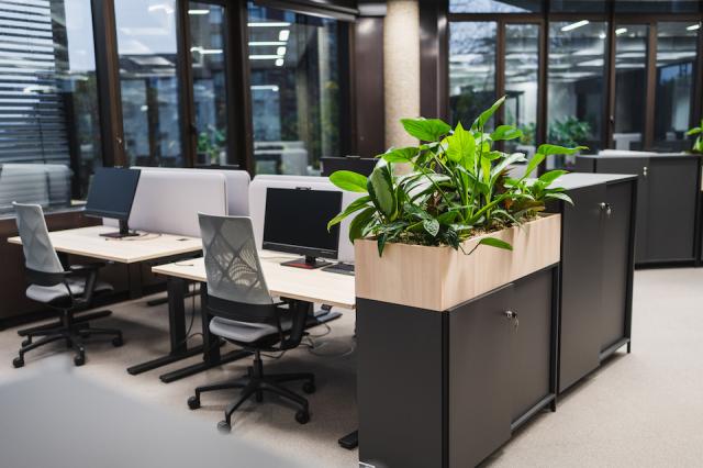 Bild "innenbegruenung_5.jpg"