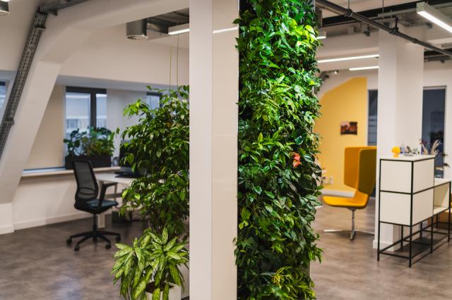 Bild "innenbegruenung_6.jpg"