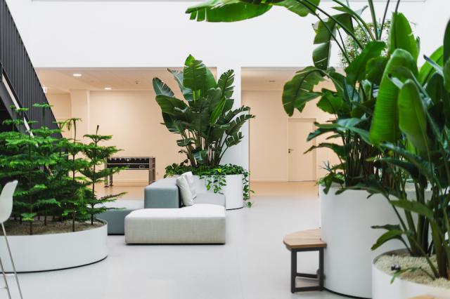 Bild "innenbegruenung_7.jpg"