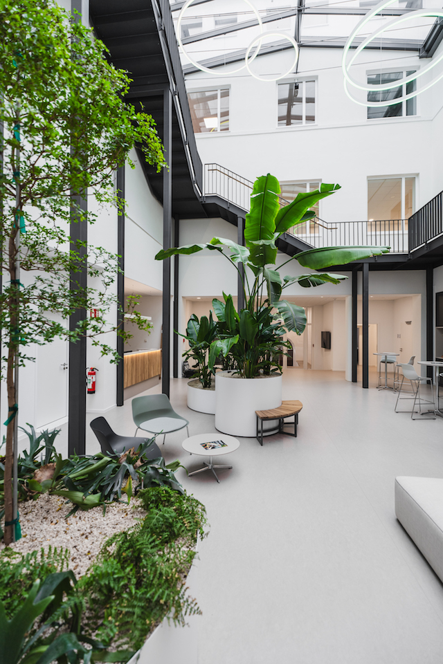 Bild "innenbegruenung_8.jpg"