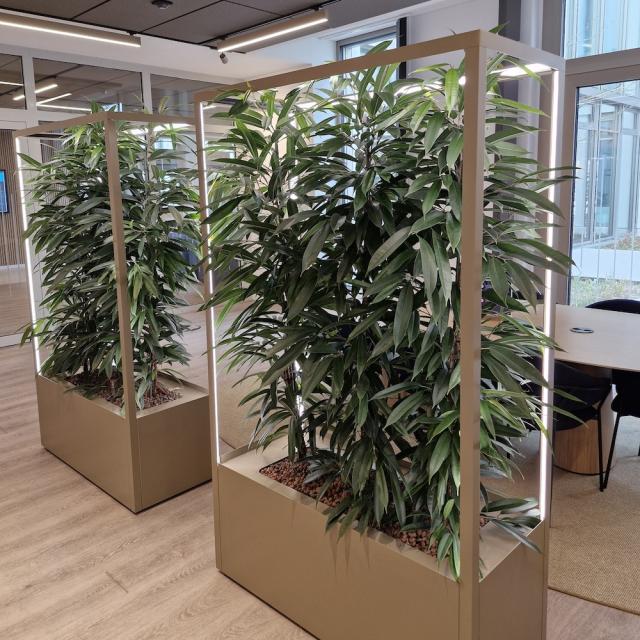 Bild "pflanzenhecke_2.jpg"