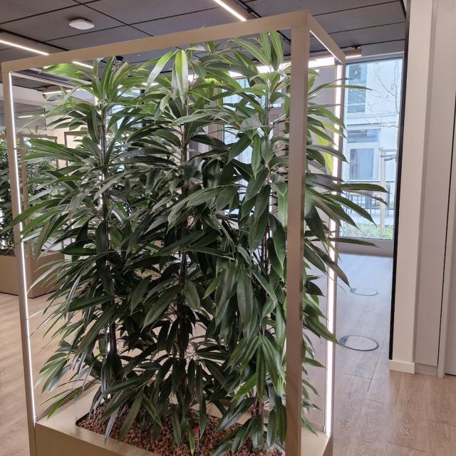 Bild "pflanzenhecke_3.jpg"