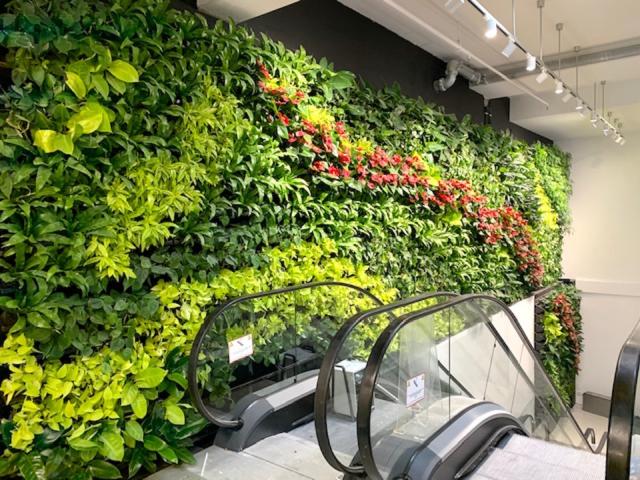 Bild "pflanzenwaende_2.jpg"