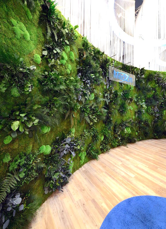 Bild "pflanzenwaende_4.jpg"