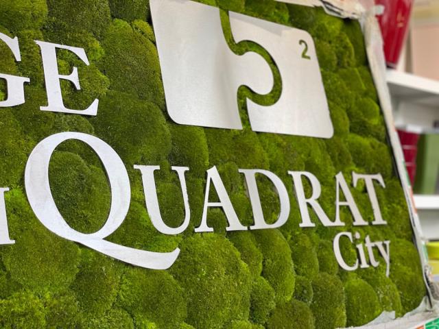 Bild "pflanzen-mooswaende_3.jpg"