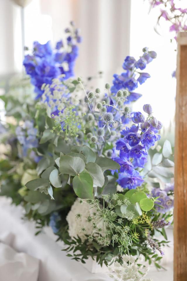 Bild "floristik2_1.jpg"