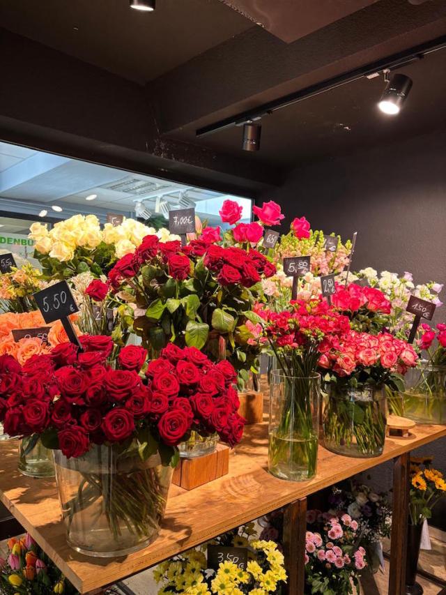 Bild "floristik2_4.jpg"