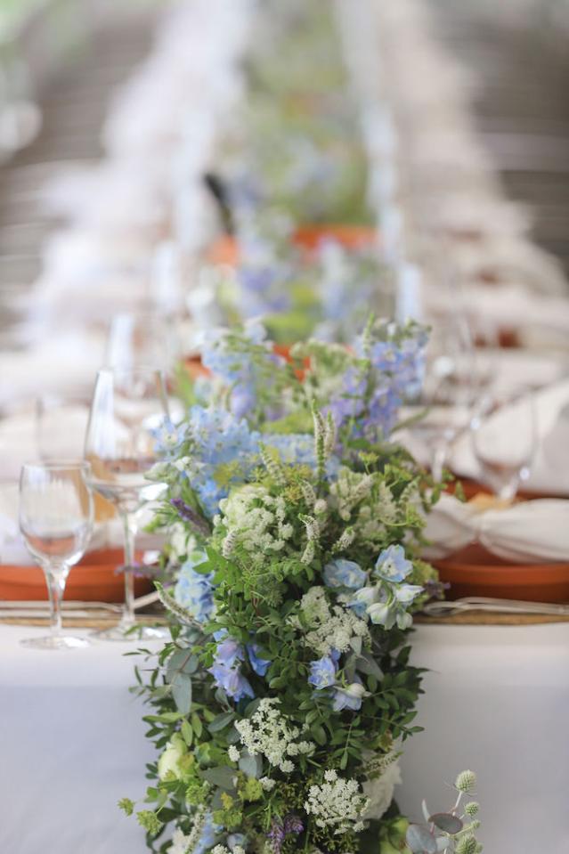 Bild "floristik_1.jpg"