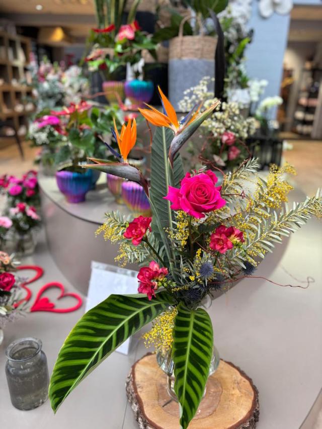 Bild "floristik_11.jpg"