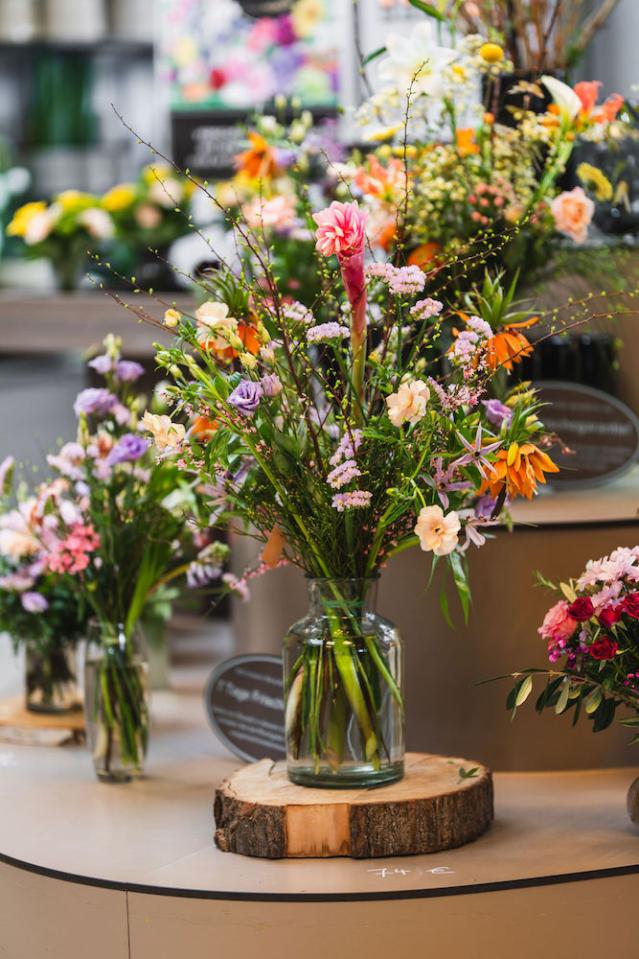 Bild "floristik_13.jpg"