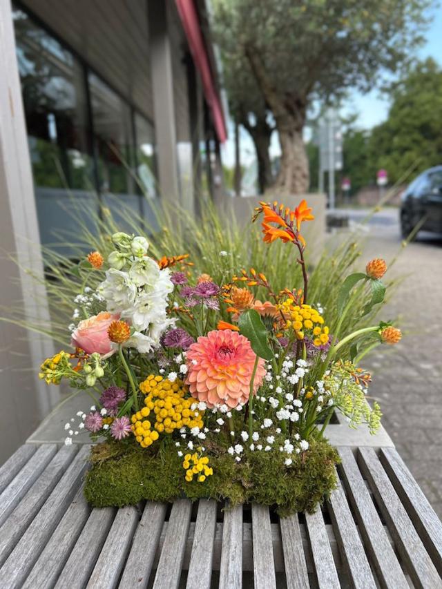 Bild "floristik_16.jpg"