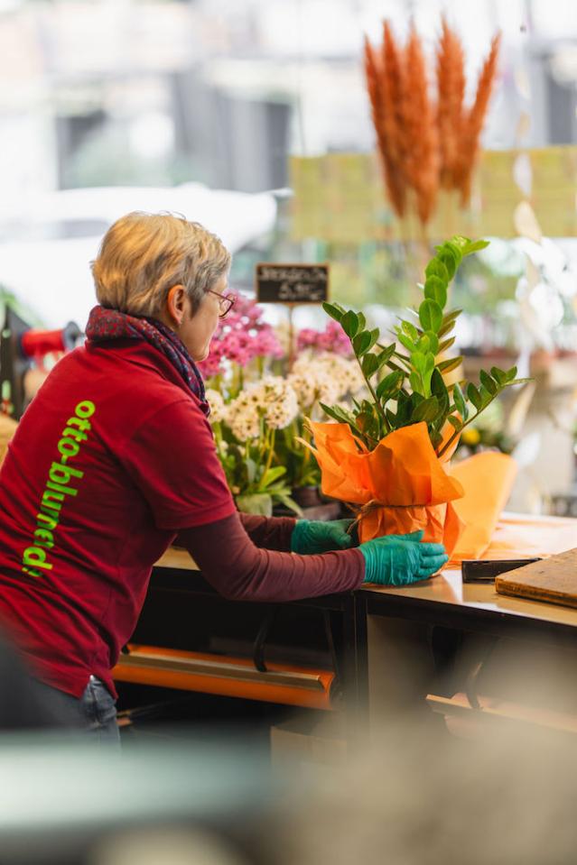 Bild "floristik_5.jpg"