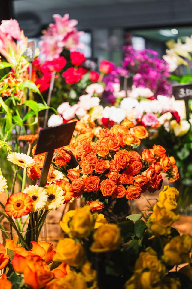 Bild "floristik_6.jpg"