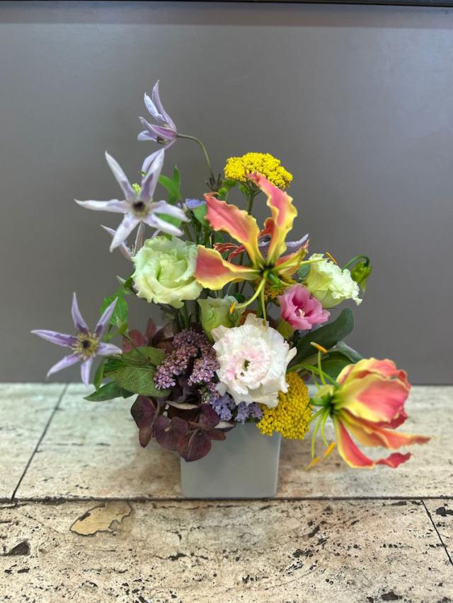 Bild "floristik_9.jpg"