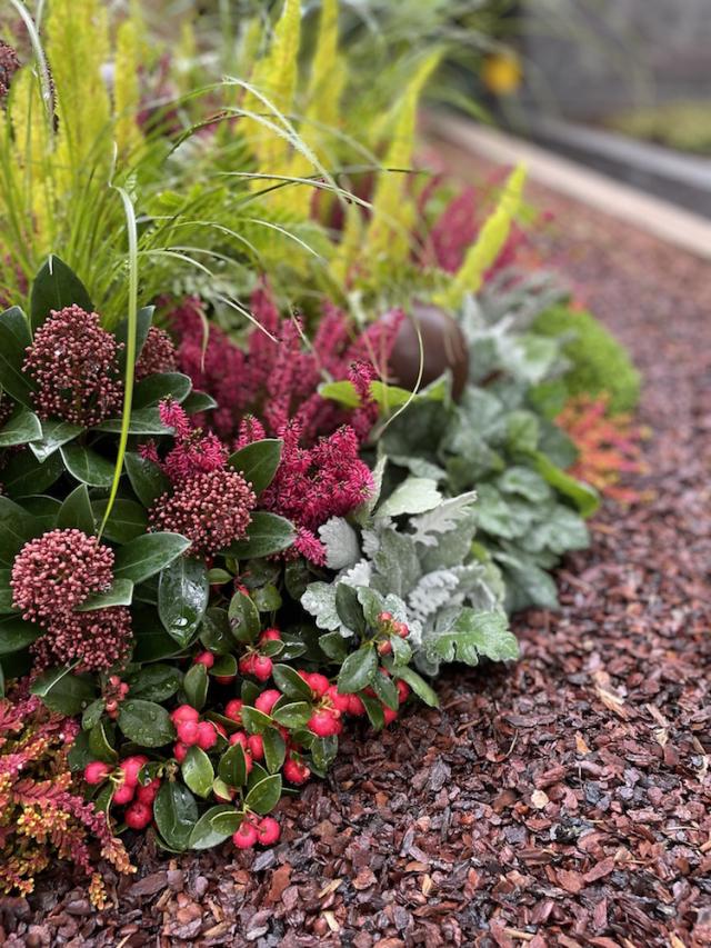 Bild "friedhof_2.jpg"