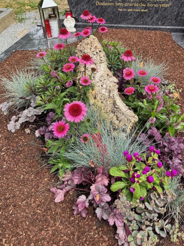 Bild "friedhof_3.jpg"