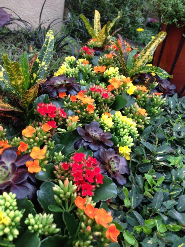 Bild "friedhof_4.jpg"