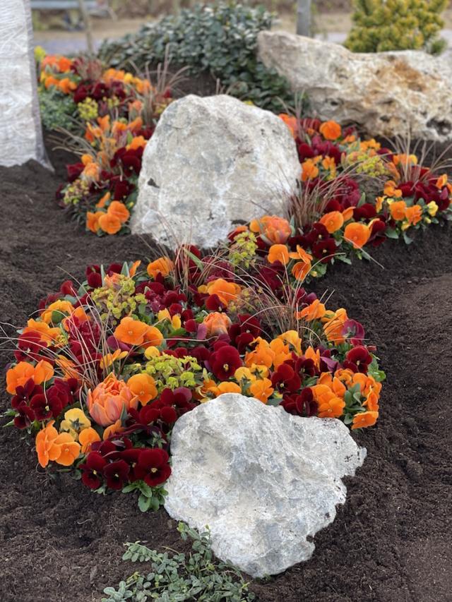 Bild "BUGA-2023_6.jpg"