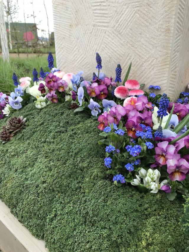 Bild "BUGA-2023_7.jpg"