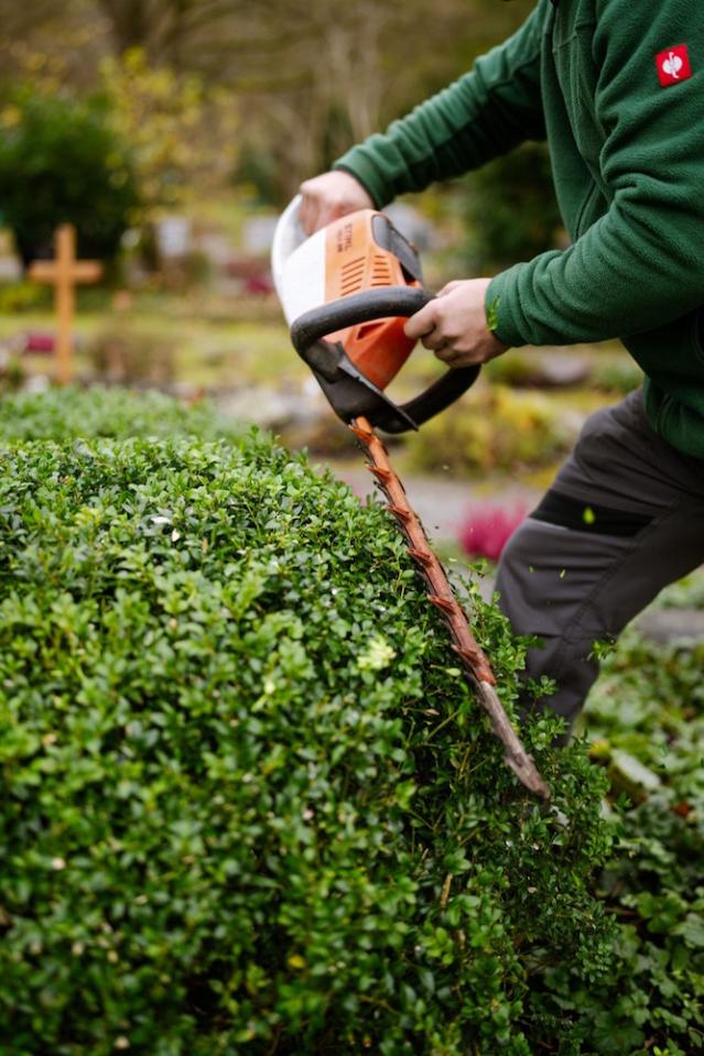 Bild "grabpflege_1.jpg"